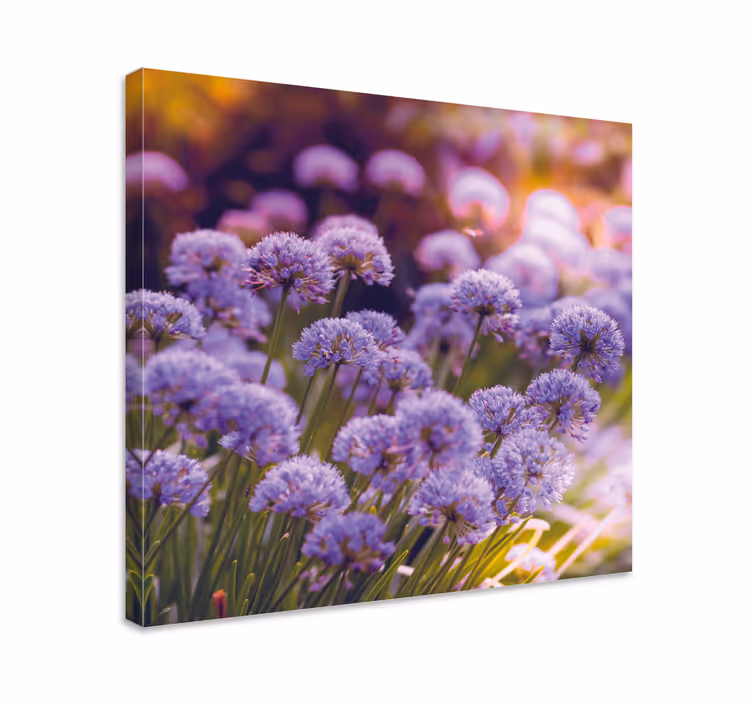 Cuadro de flores Campo de flores moradas - TenVinilo