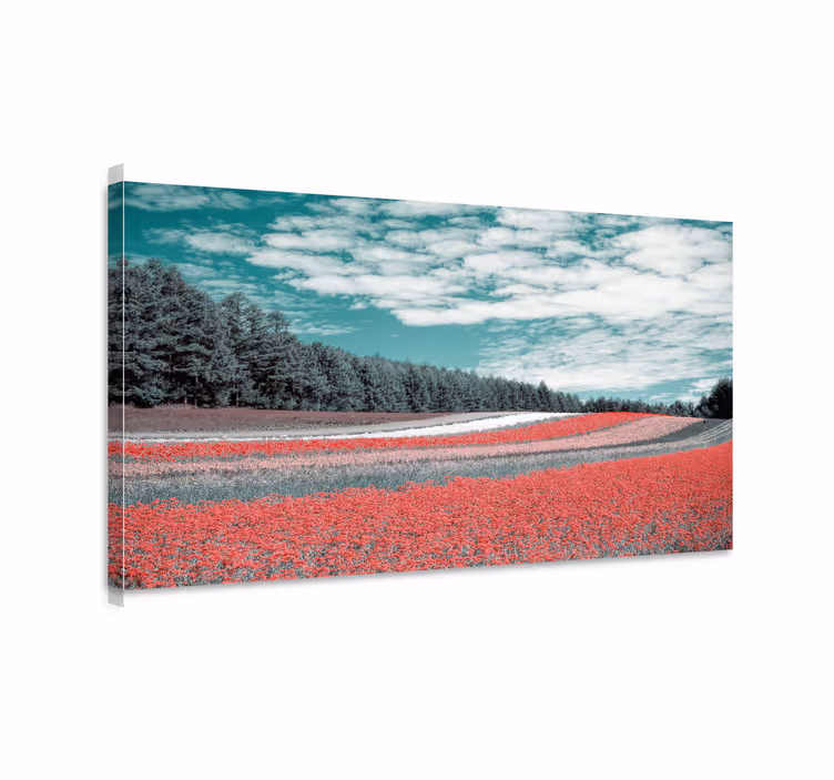 Cuadro de flores Diferente tipo de campo de flores - TenVinilo