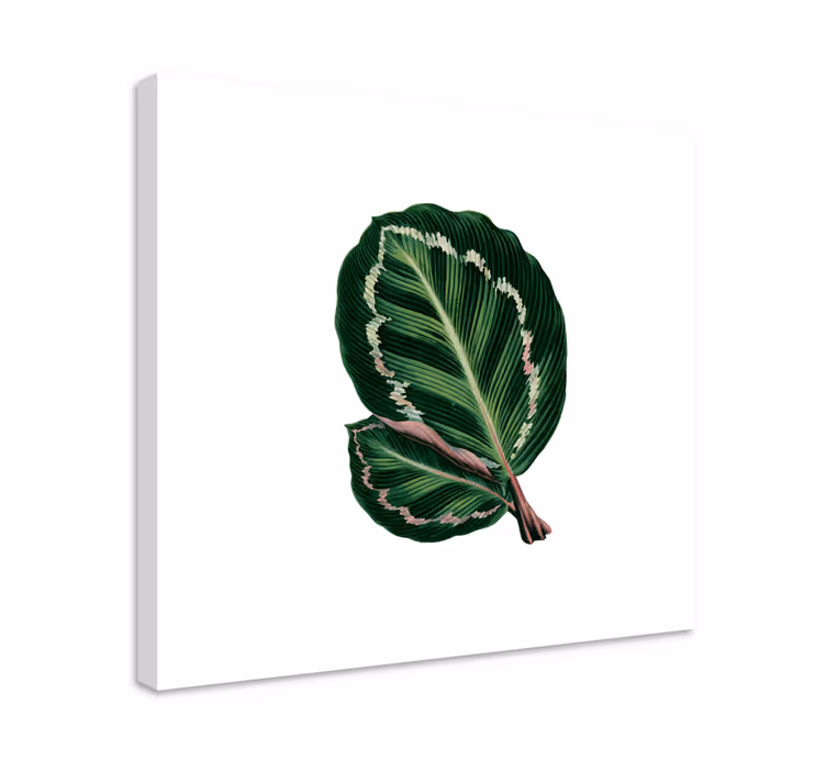 Cuadro de flores diseño de hoja grande - TenVinilo