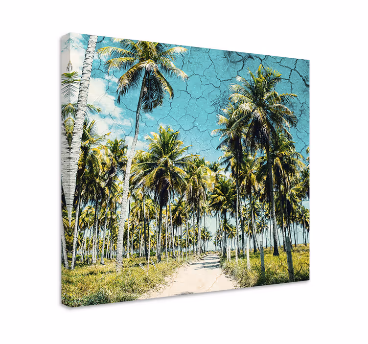 Cuadro paisajes camino de palmeras tropicales - TenVinilo