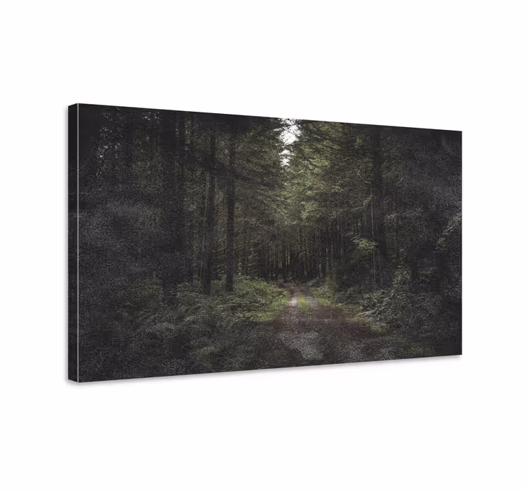 Cuadro paisajes Caminando por un bosque oscuro - TenVinilo