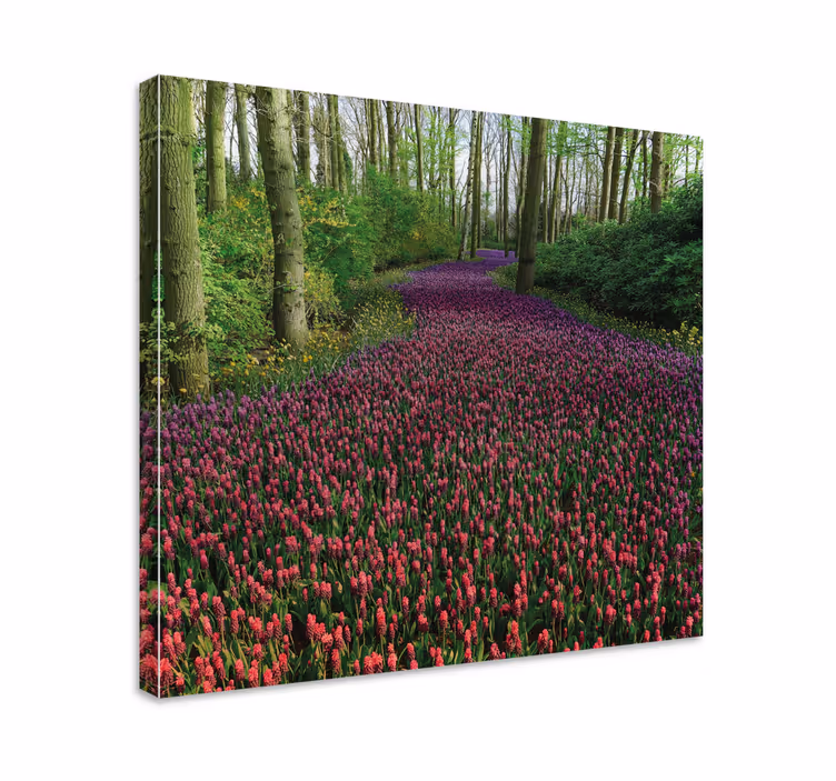 Cuadro de flores sendero floral en floración - TenVinilo
