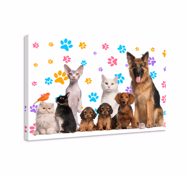 Cuadro animales Perros y gatos - TenVinilo