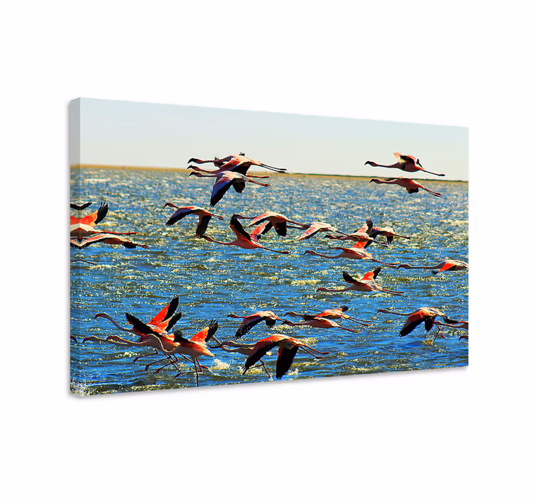 Cuadro aves flamencos en vuelo - TenVinilo
