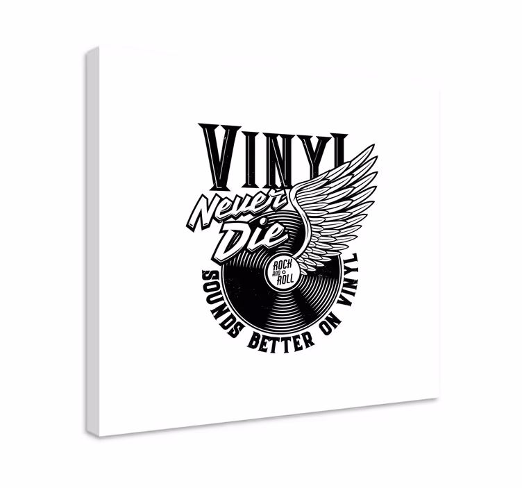 Cuadro musical alas de disco de vinilo - TenVinilo