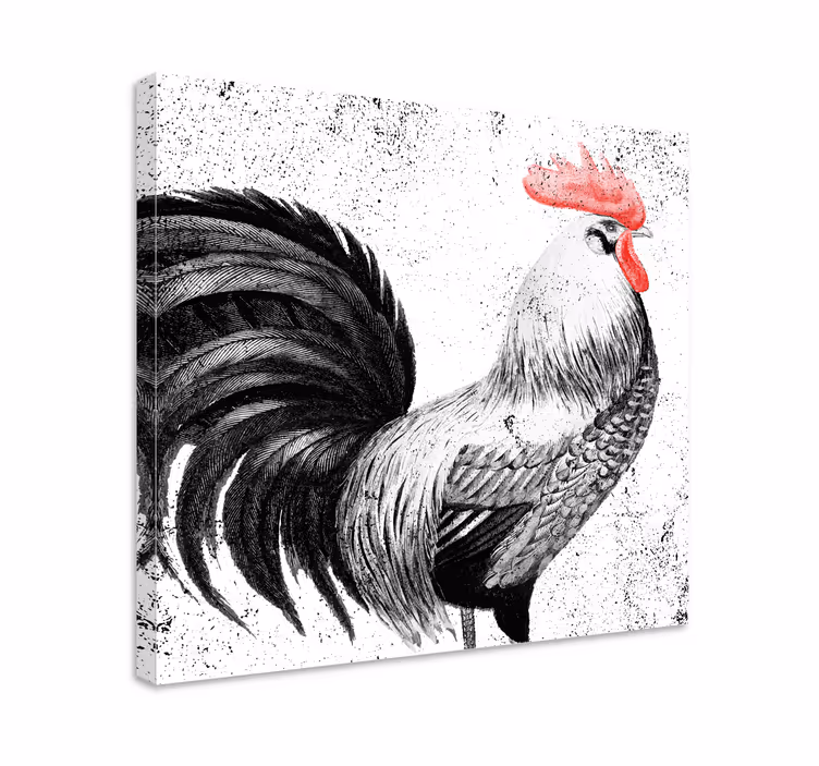 Cuadro aves Gallo negro y rojo - TenVinilo