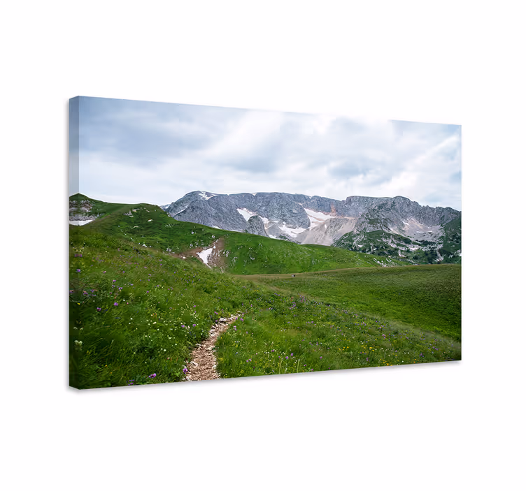 Cuadro paisajes Ver en el sendero de la montaña - TenVinilo