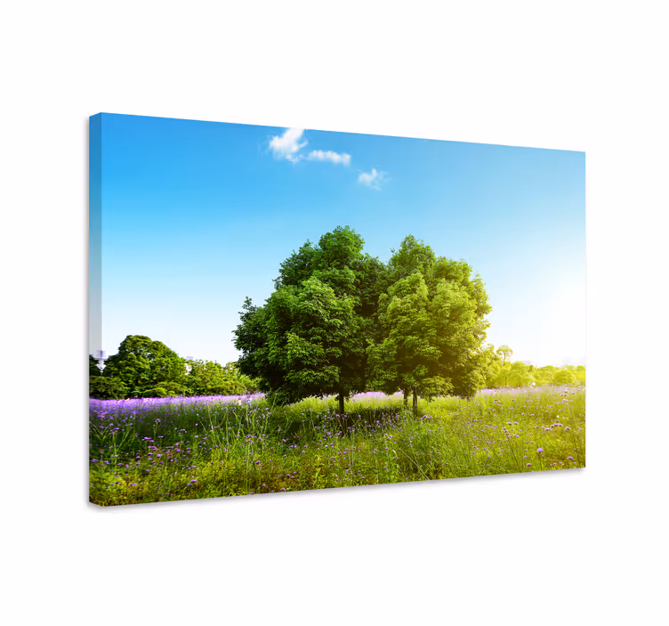 Cuadro paisajes árbol alto de primavera - TenVinilo