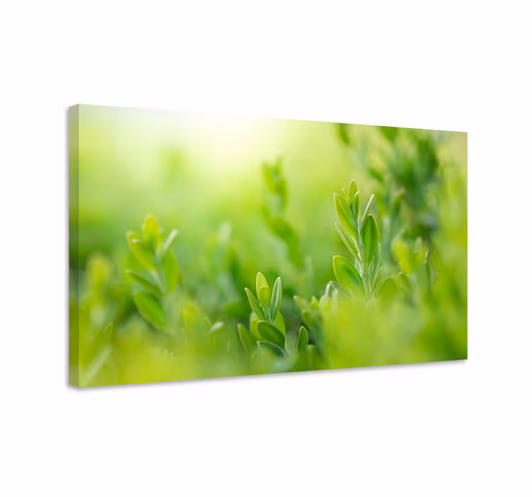 Cuadro de flores primer plano de vegetación exuberante - TenVinilo