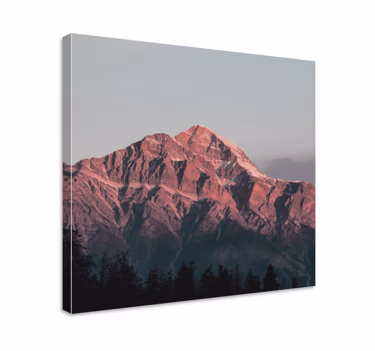 Cuadro paisajes Fotografía estética natural - TenVinilo