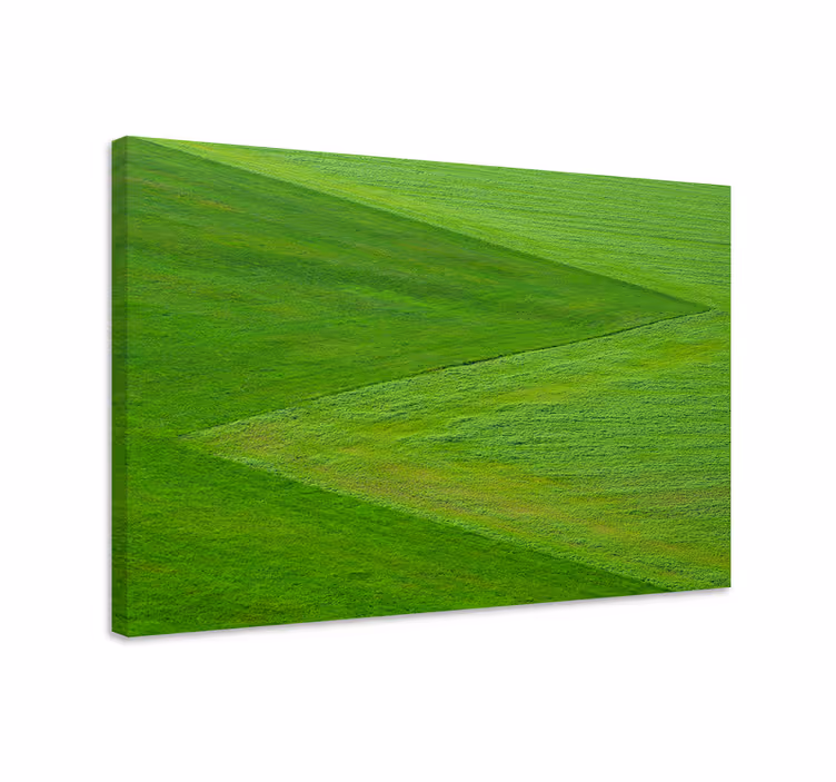 Cuadro paisajes Hierba verde con textura - TenVinilo