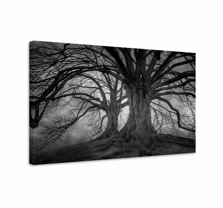Cuadro paisajes Fotografía estética de árbol kahl - TenVinilo