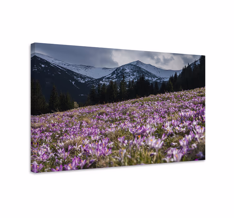 Cuadro de flores pradera de flores moradas - TenVinilo
