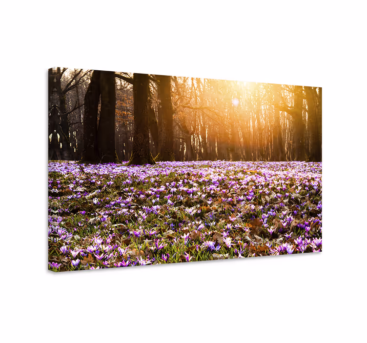 Cuadro de flores Hermoso paisaje de azafrán púrpura - TenVinilo