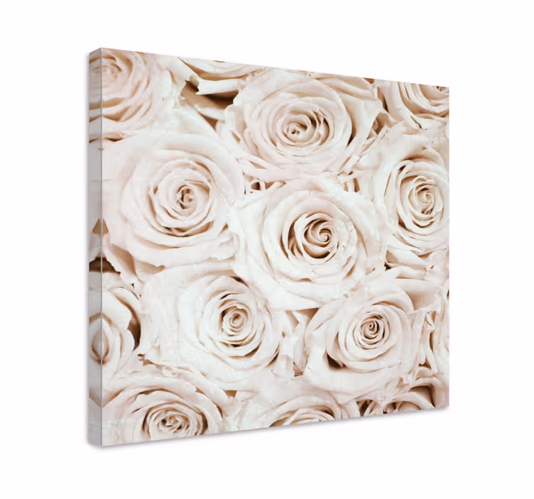 Cuadro de flores rosa suave en flor - TenVinilo