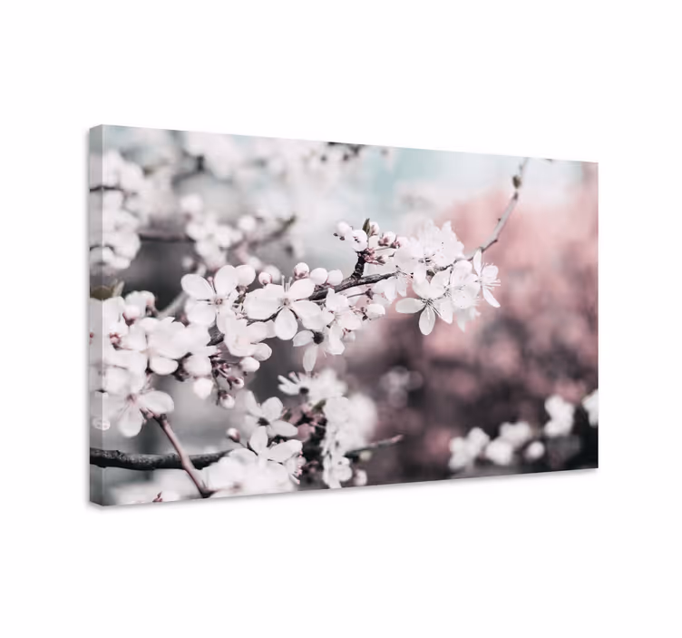 Cuadro de flores flor de cerezo blanca - TenVinilo
