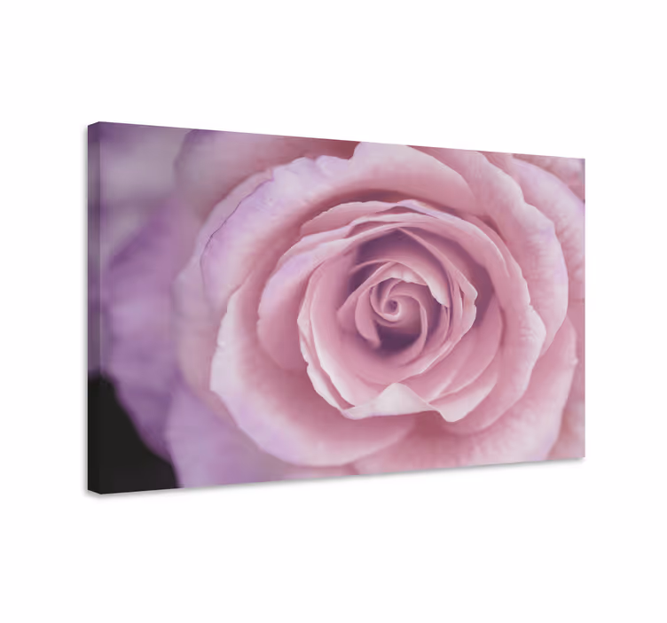Cuadro de flores Elegante diseño de rosa gigante - TenVinilo