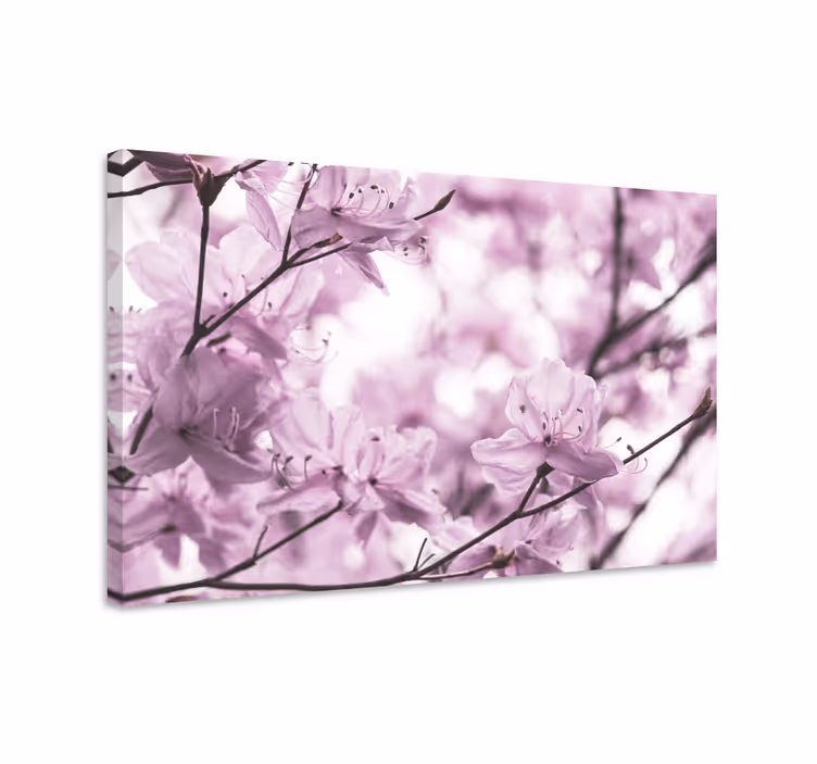 Cuadro de flores Elegante diseño de flores de azalea femenina - TenVinilo