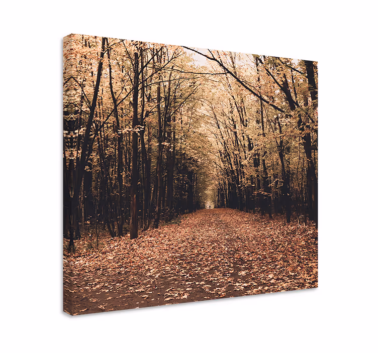 Cuadro paisajes escena de sendero otoñal - TenVinilo
