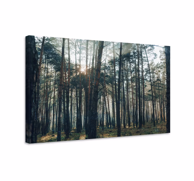 Cuadro de árboles brillo del bosque majestuoso - TenVinilo
