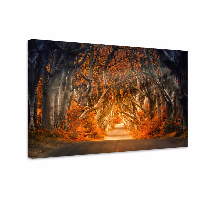 Cuadro paisajes sendero de otoño misterioso - TenVinilo