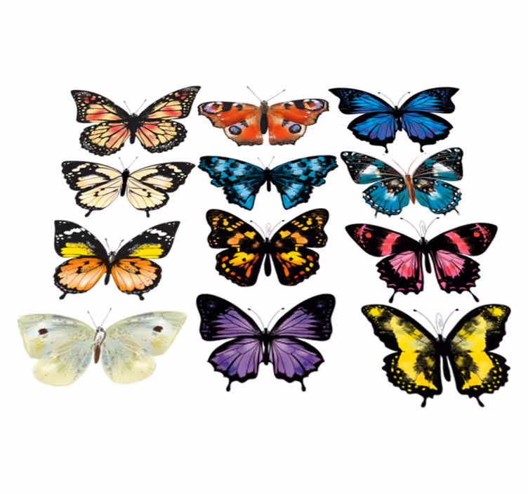 Aflombra vinílica animales ilustración mariposa - TenVinilo