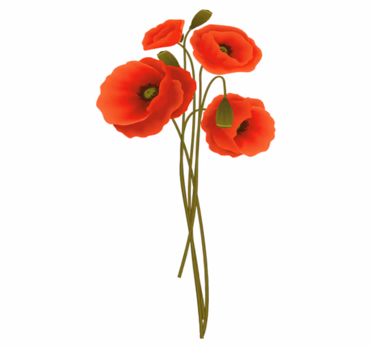 Alfombra vinílica baño amapolas delicadas - TenVinilo