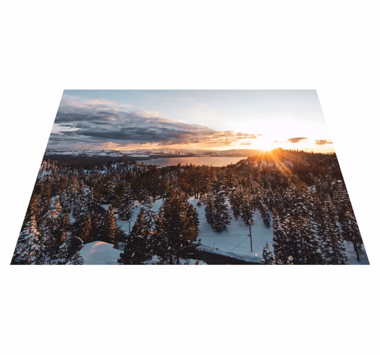 Alfombra vinílica naturaleza paisaje de bosque exuberante - TenVinilo