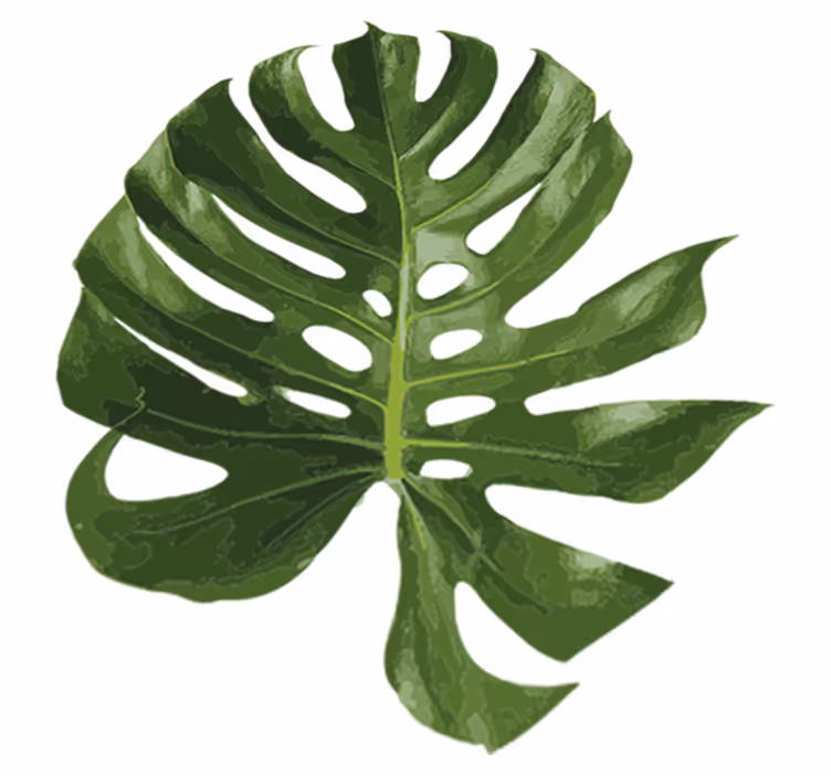 Alfombra vinílica flores hoja monstera deliciosa - TenVinilo