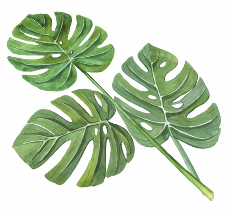Alfombra vinílica flores hojas de monstera acuareladas - TenVinilo