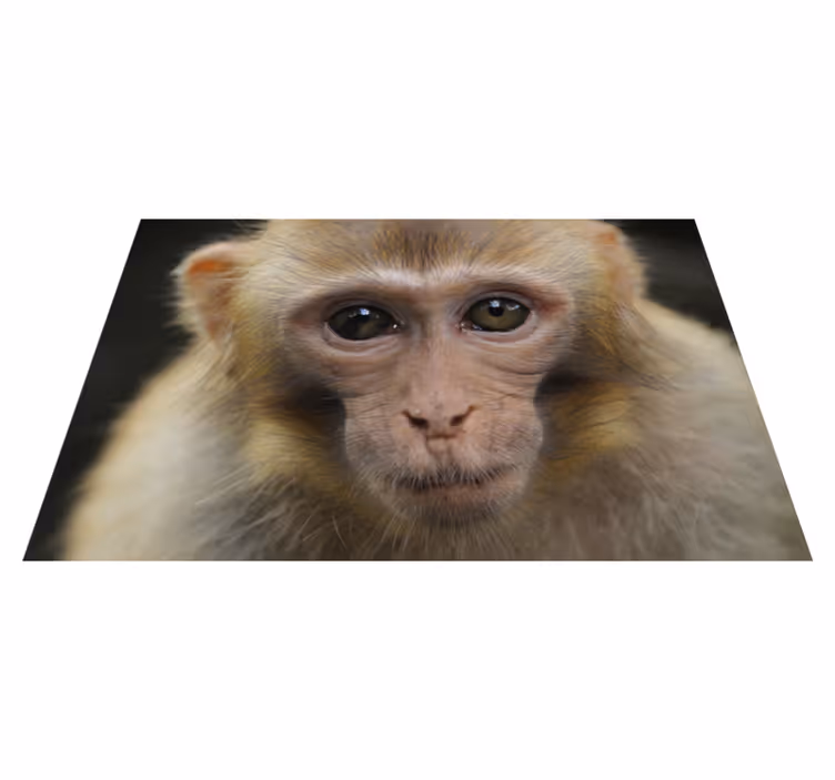 Aflombra vinílica animales cara de mono bebé - TenVinilo