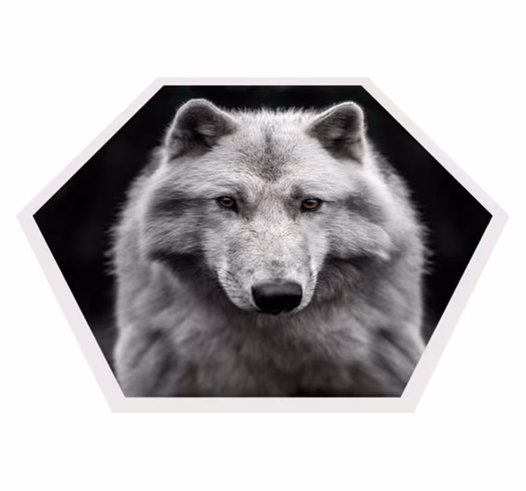 Aflombra vinílica animales retrato de lobo - TenVinilo