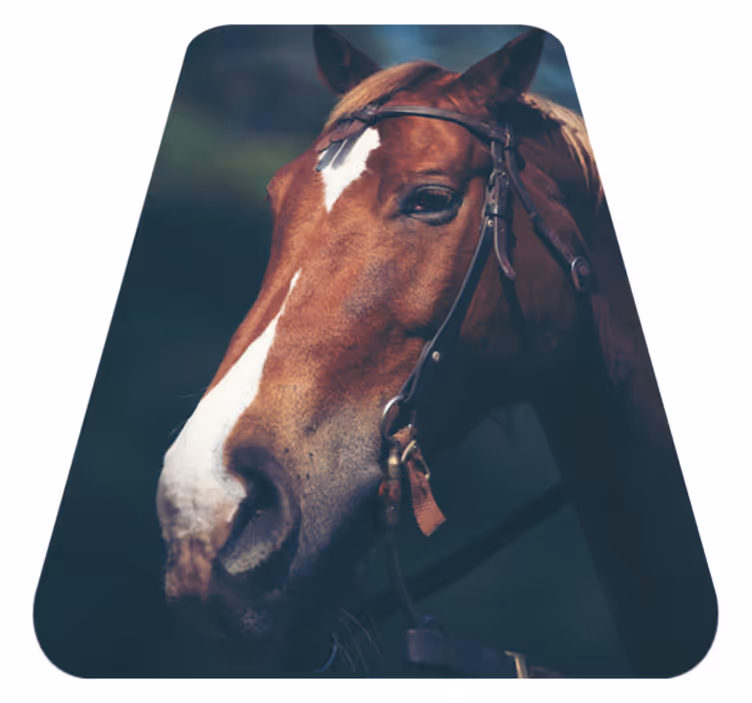 Aflombra vinílica animales majestuosa cabeza de caballo - TenVinilo