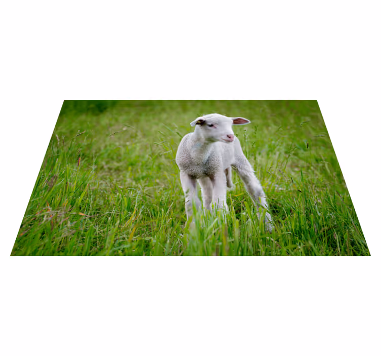 Aflombra vinílica animales cordero lechal de pie - TenVinilo