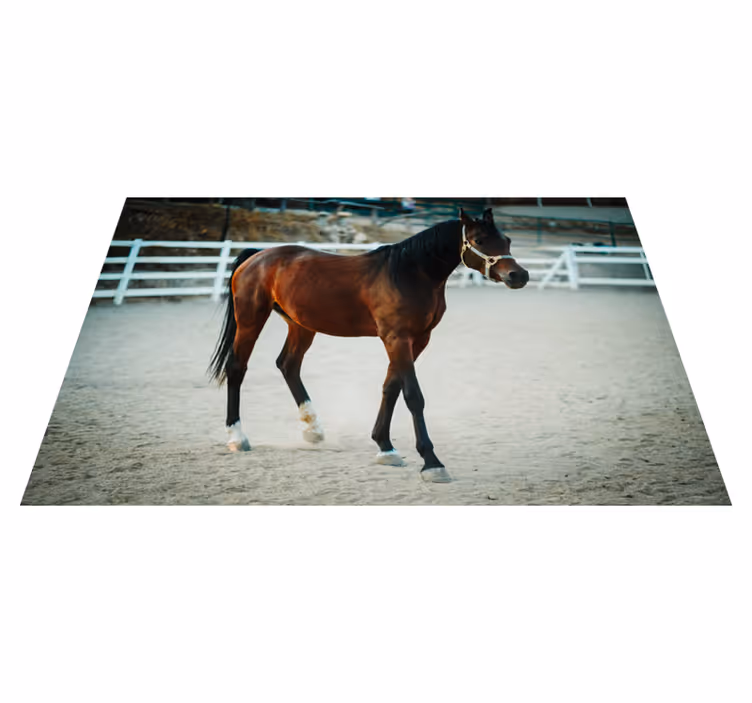 Aflombra vinílica animales majestuoso retrato de caballo - TenVinilo