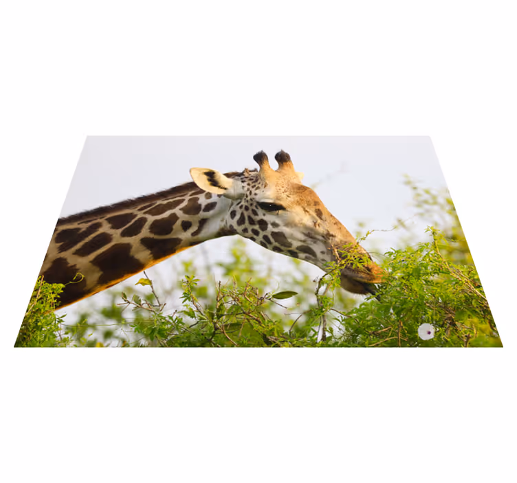 Aflombra vinílica jirafa alta animal - TenVinilo
