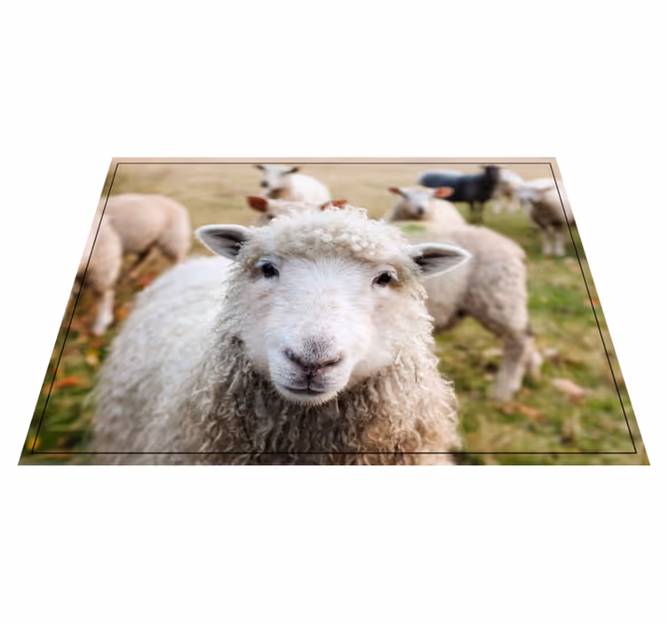 Aflombra vinílica animales cara de oveja rizada - TenVinilo