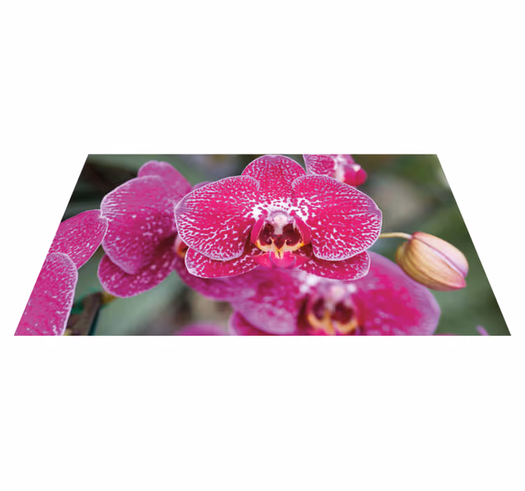 Alfombra vinílica flores coloridas flores de orquídeas - TenVinilo