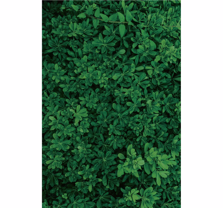 Papel tapiz naturaleza verde profundo - TenVinilo