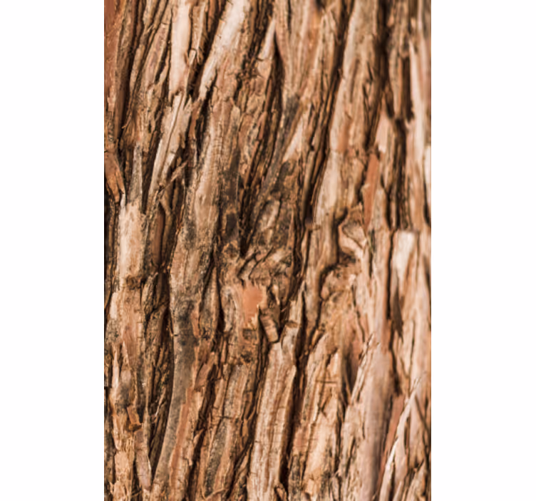 Papel tapiz para sala corteza de árbol - TenVinilo