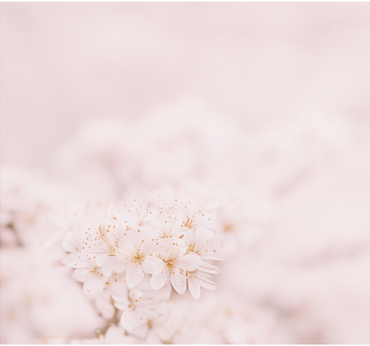 Persiana enrollable cuarto matrimonio delicadas flores de cerezo - TenVinilo