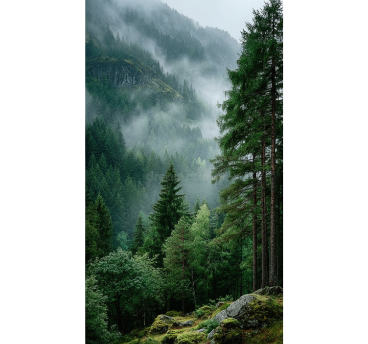 Persiana enrollable árboles la elección melancólica - TenVinilo