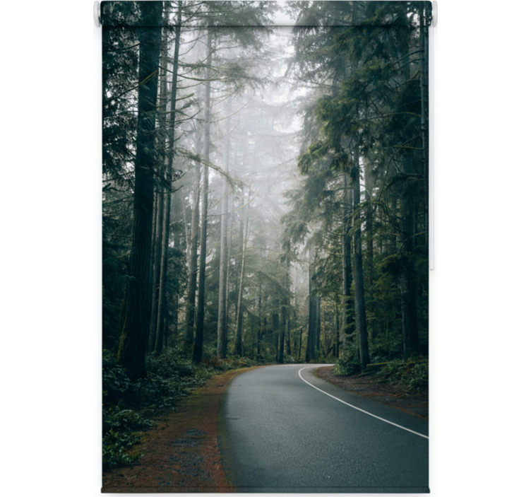 Persiana enrollable árboles camino de pinos nebuloso - TenVinilo