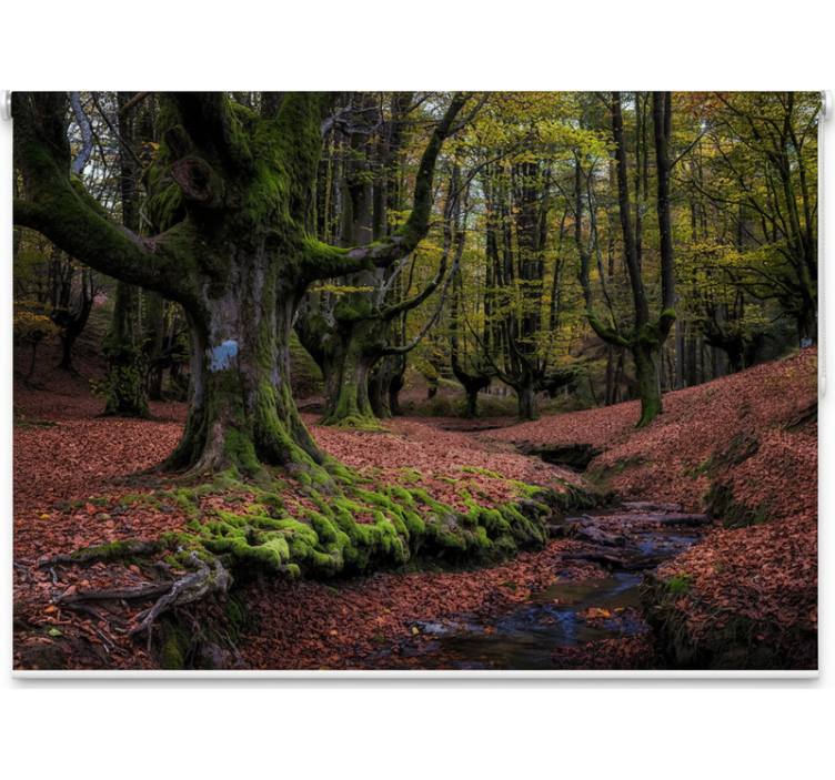 Persiana enrollable árboles bosque de otoño encantado - TenVinilo