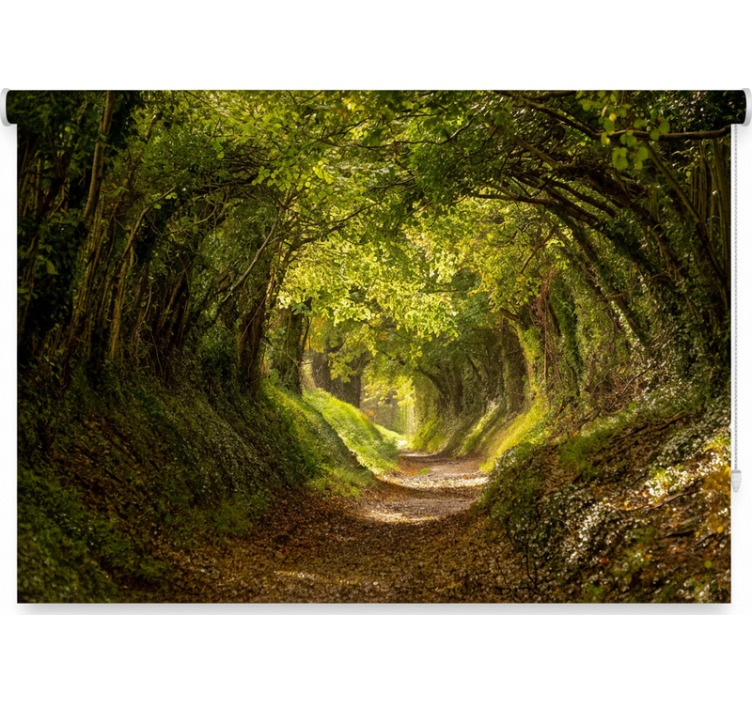 Persiana enrollable árboles mural de bosque inmersivo - TenVinilo