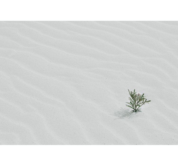 Persiana enrollable blanca arena blanca del desierto - TenVinilo