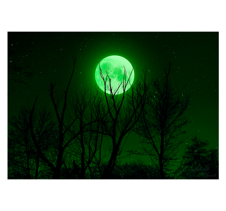 Persiana enrollable negra luna verde - TenVinilo