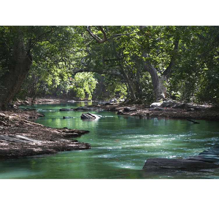 Persiana enrollable salón bosque y río - TenVinilo