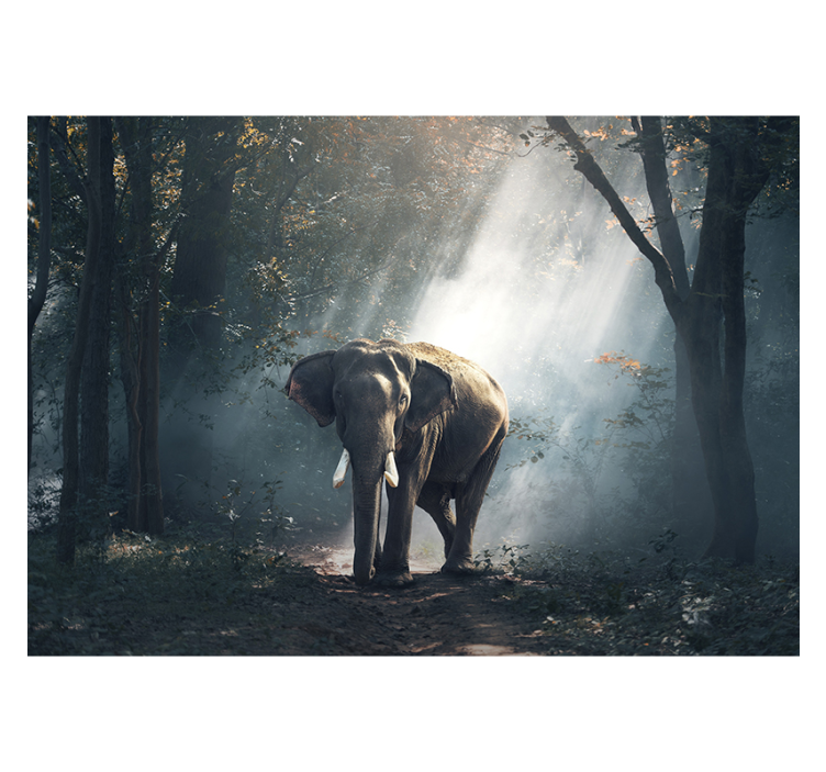 Persiana enrollable salón elefante en el bosque - TenVinilo
