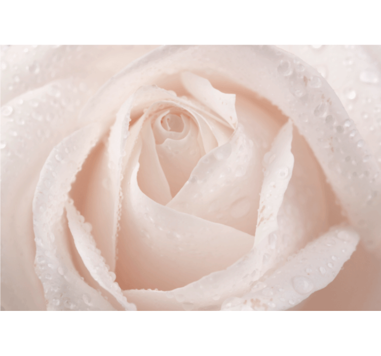 Persiana enrollable salón rosa blanca hermosa - TenVinilo